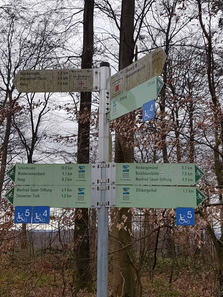 20190210 NF_Manfred Sauer Stiftung_Sabine-3.jpg