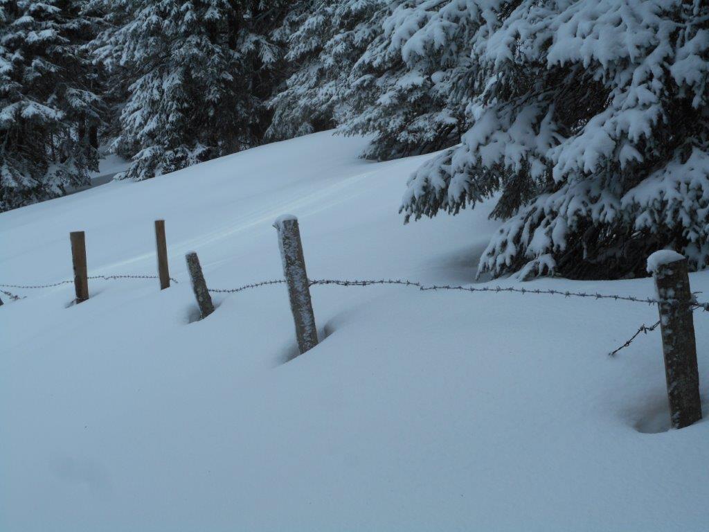 Klippitztörl-15.jpg