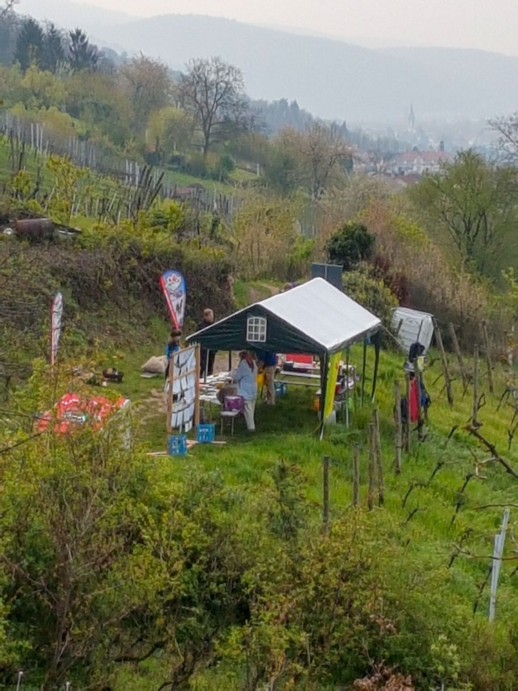20190414_NF_Blütenwegsfest_Sabine (3).jpg