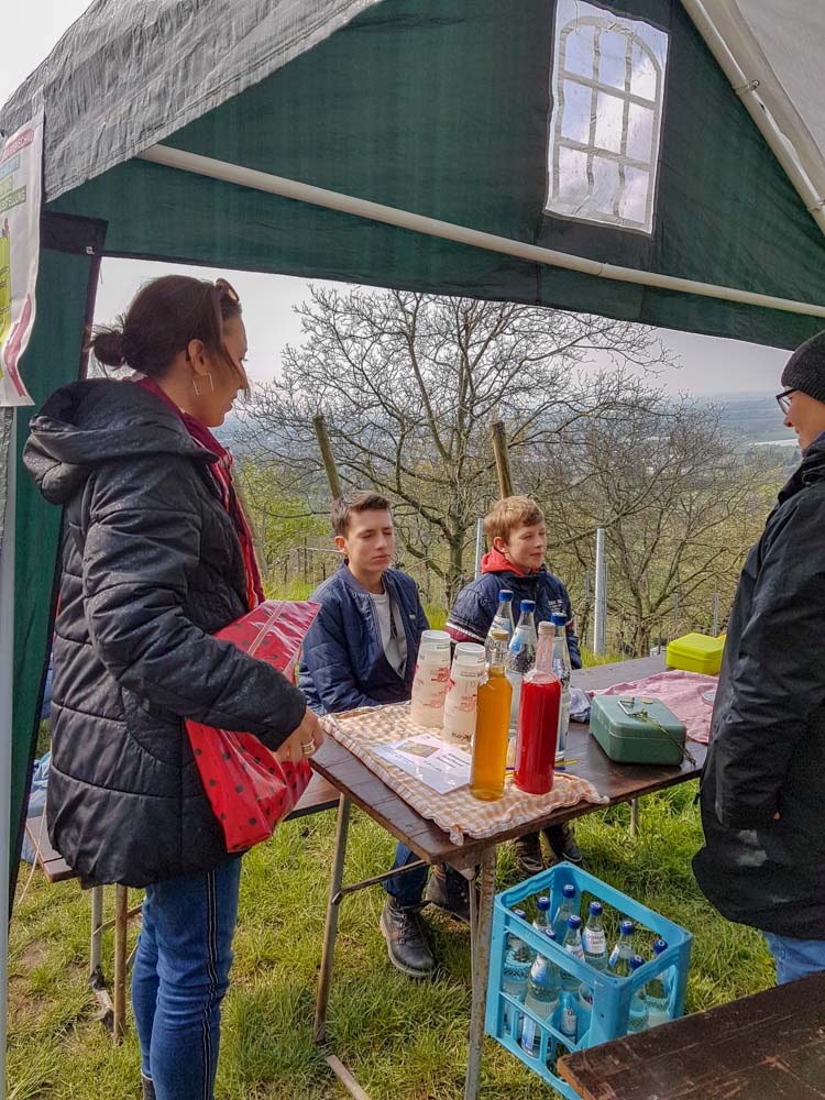 20190414_NF_Blütenwegsfest_Sabine (15).jpg