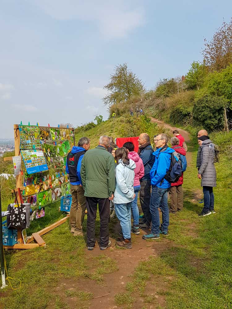 20190414_NF_Blütenwegsfest_Sabine (17).jpg