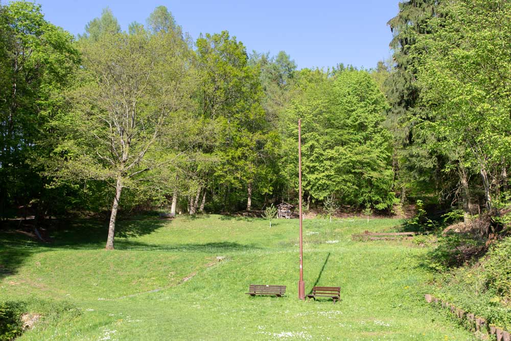 20190430 Maibaum aufstellen_Karl-64.jpg