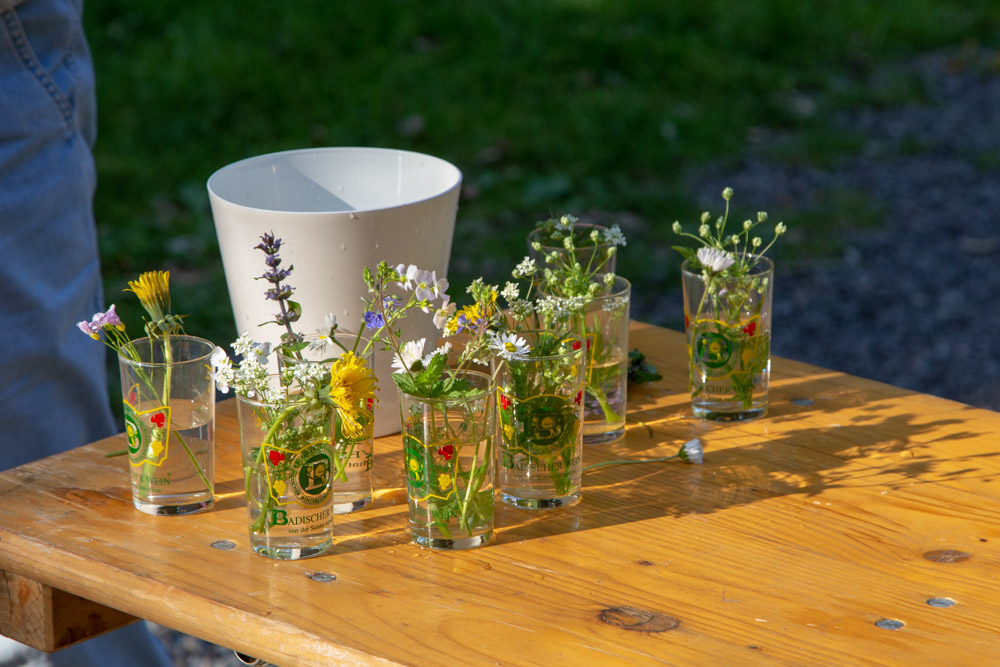 20190430 Maibaum aufstellen_Karl-101.jpg