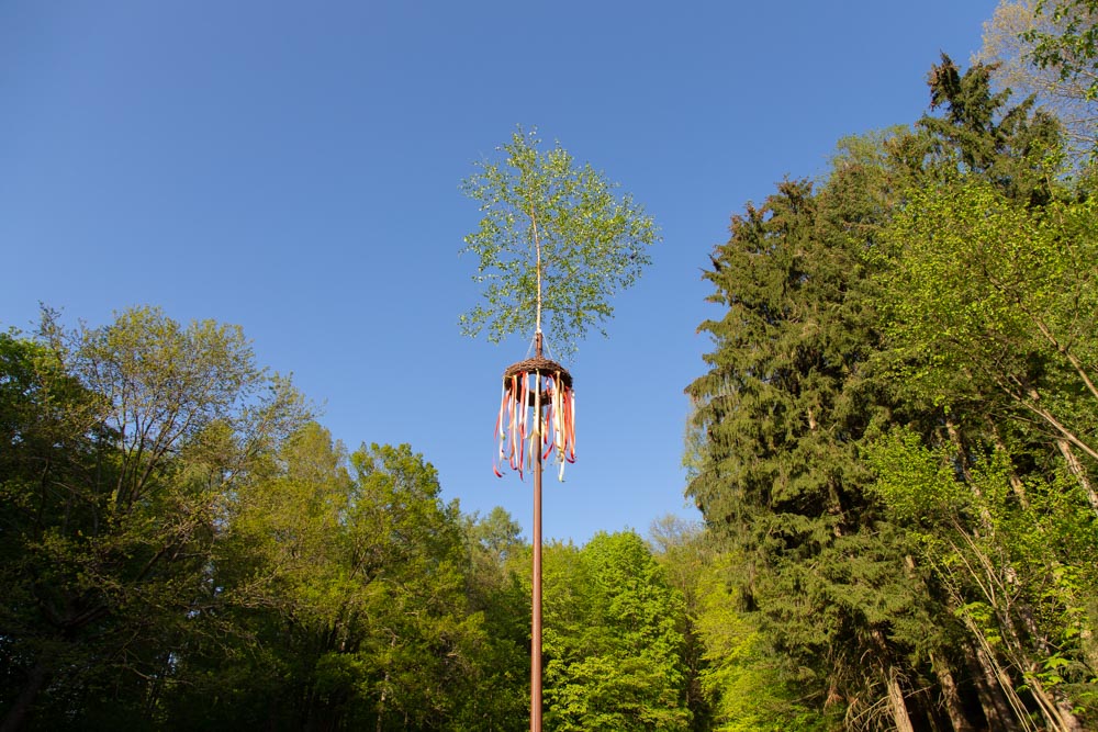 20190430 Maibaum aufstellen_Karl-188.jpg