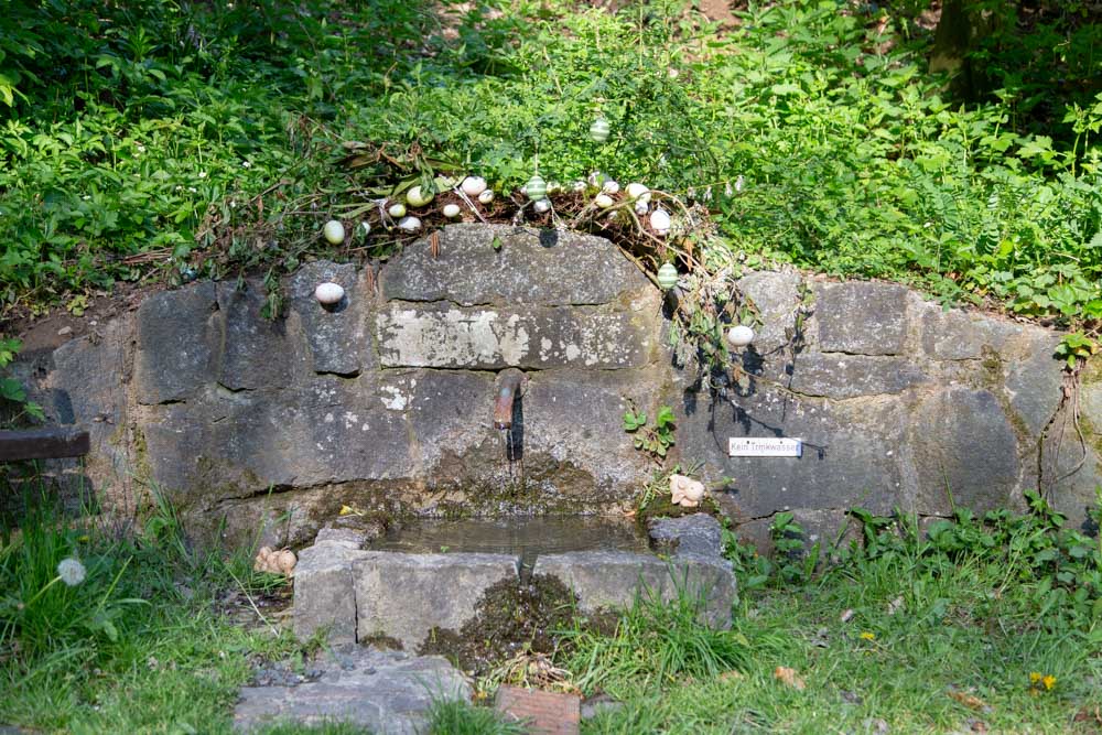 20190430 Maibaum aufstellen_Karl-191.jpg