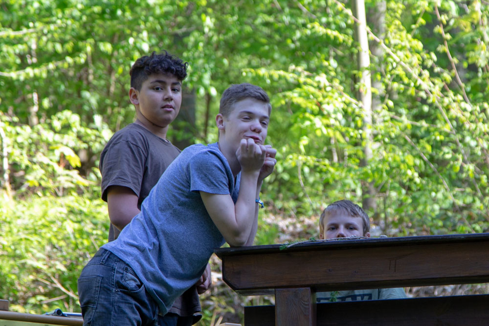 20190430 Maibaum aufstellen_Karl-320.jpg