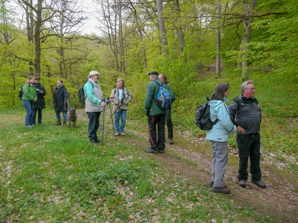 20190505 Hunsrück_Anke-17.jpg