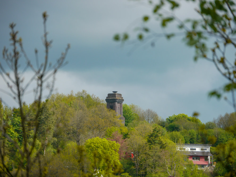 20190505 Hunsrück_Anke-38.jpg
