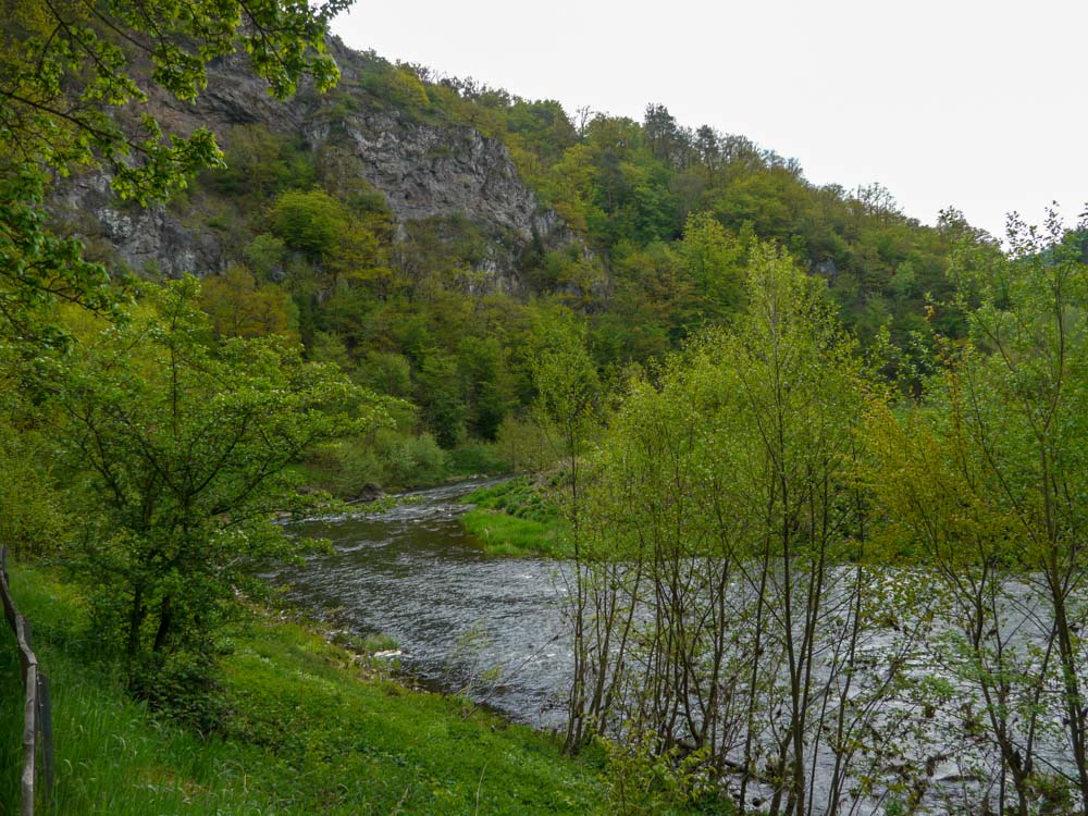 20190505 Hunsrück_Anke-41.jpg