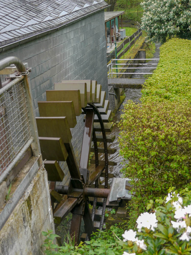 20190505 Hunsrück_Anke-61.jpg