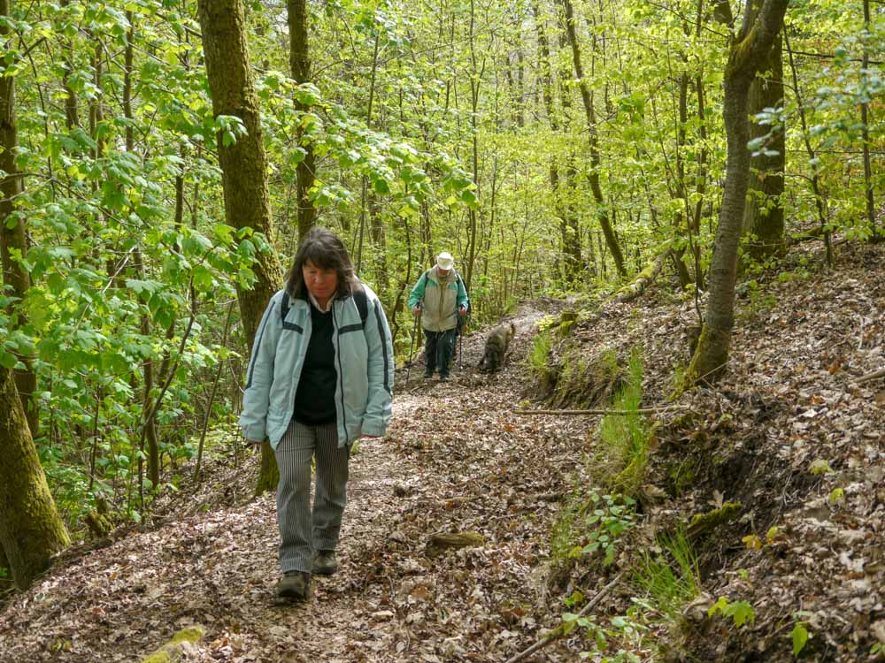 20190505 Hunsrück_Anke-75.jpg