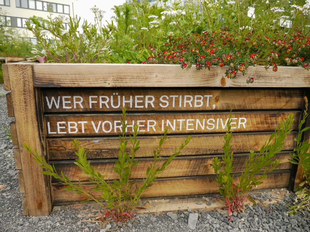 20190519 NF_Buga_Anke-10.jpg