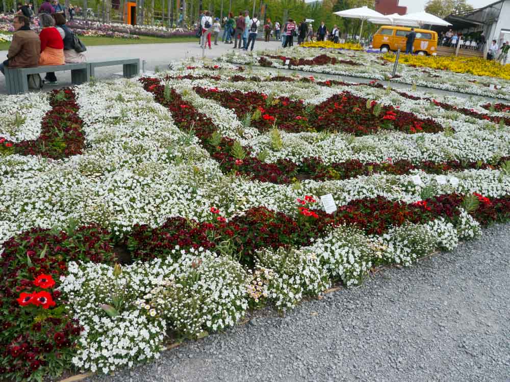 20190519 NF_Buga_Anke-43.jpg