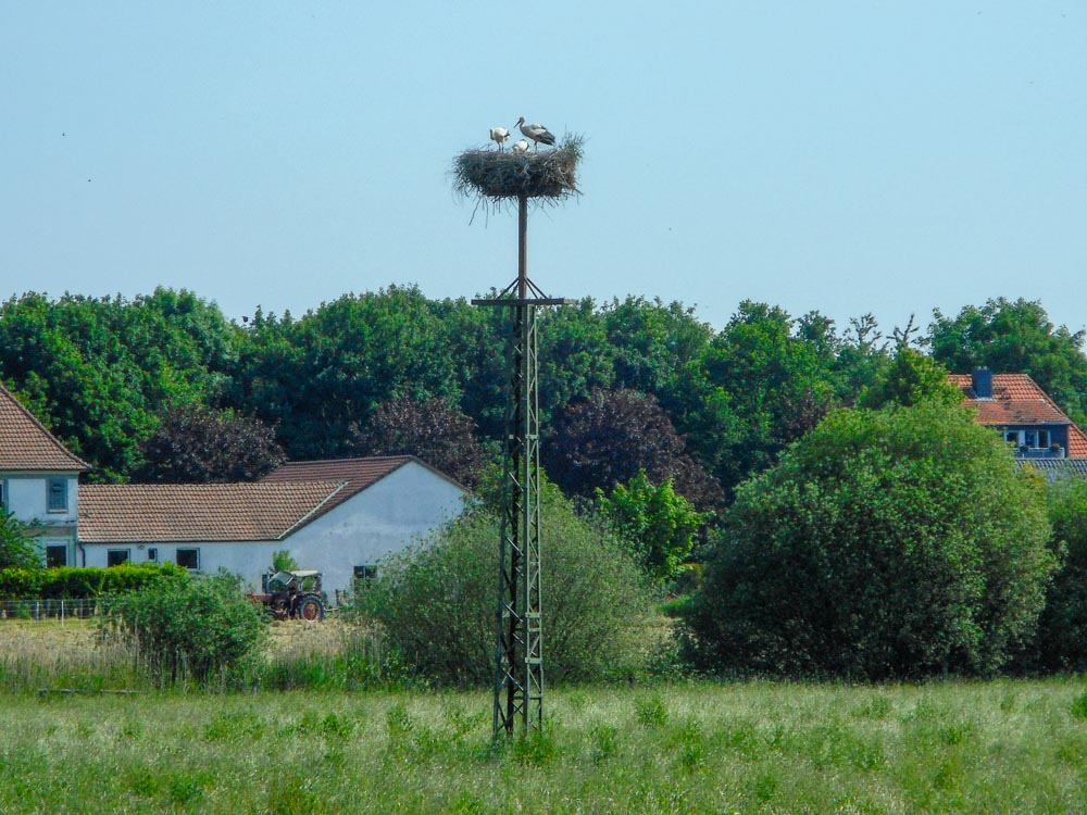 20190531 NF_Paddeln Lippe_Anke-11.jpg