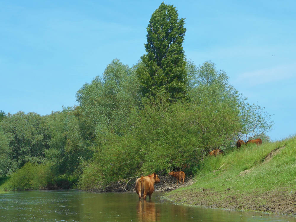 20190531 NF_Paddeln Lippe_Anke-41.jpg