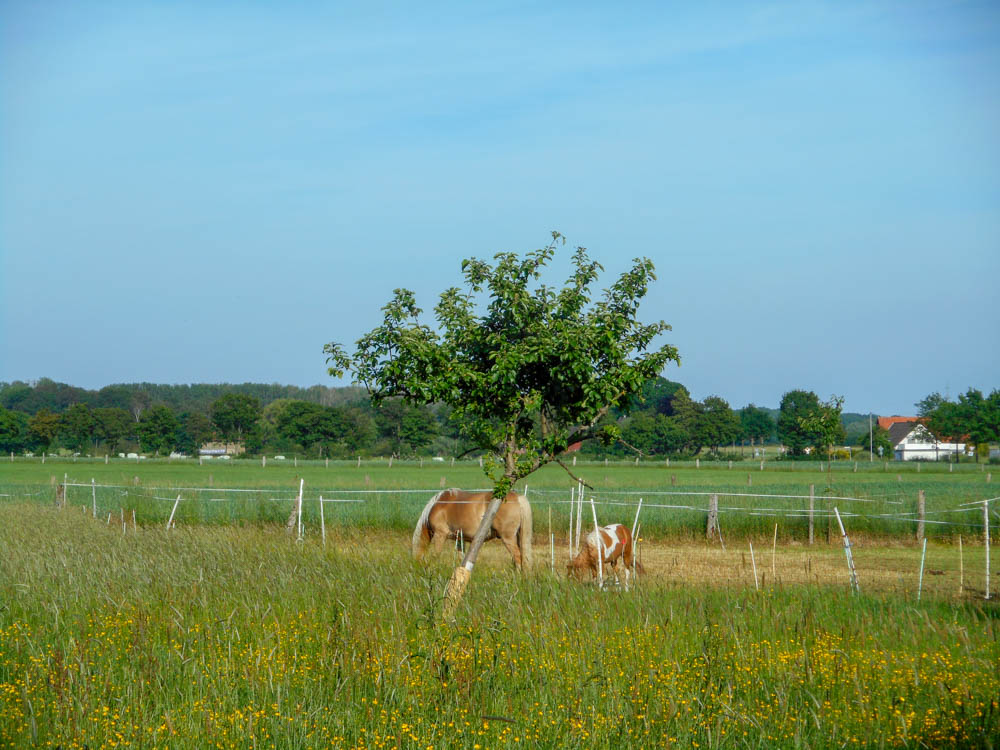 20190531 NF_Paddeln Lippe_Anke-56.jpg