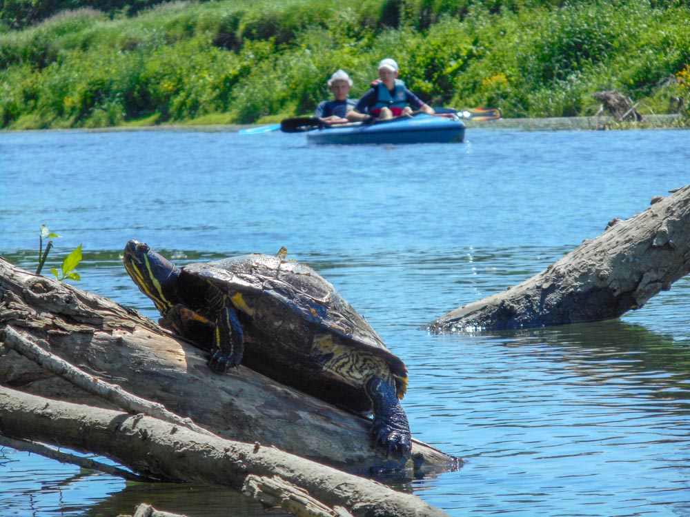 20190531 NF_Paddeln Lippe_Anke-79.jpg