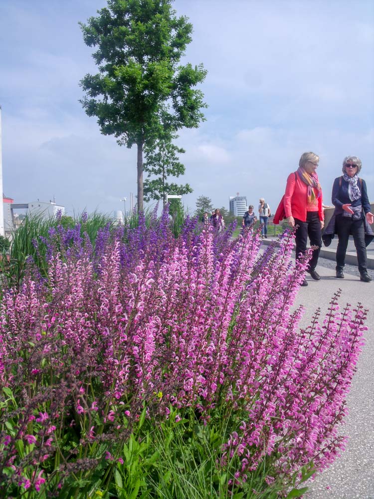 20190519 NF_BUGA_Christel-7-2.jpg