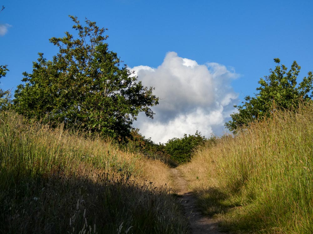 20190612 NF_Prefailles_Johannes-2.jpg