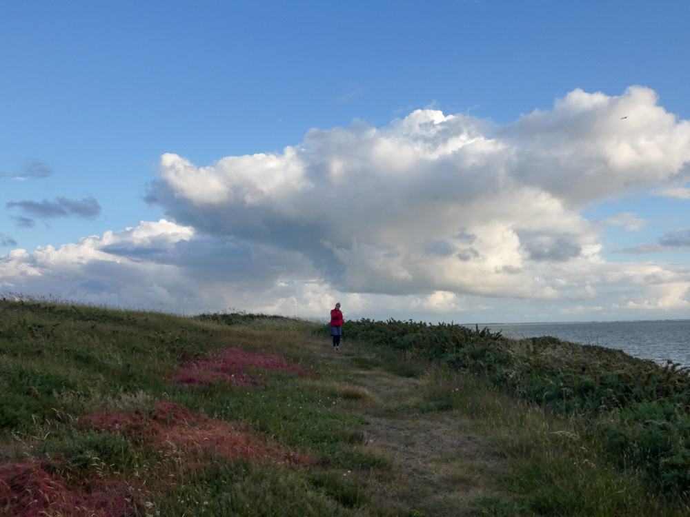 20190612 NF_Prefailles_Johannes-5.jpg