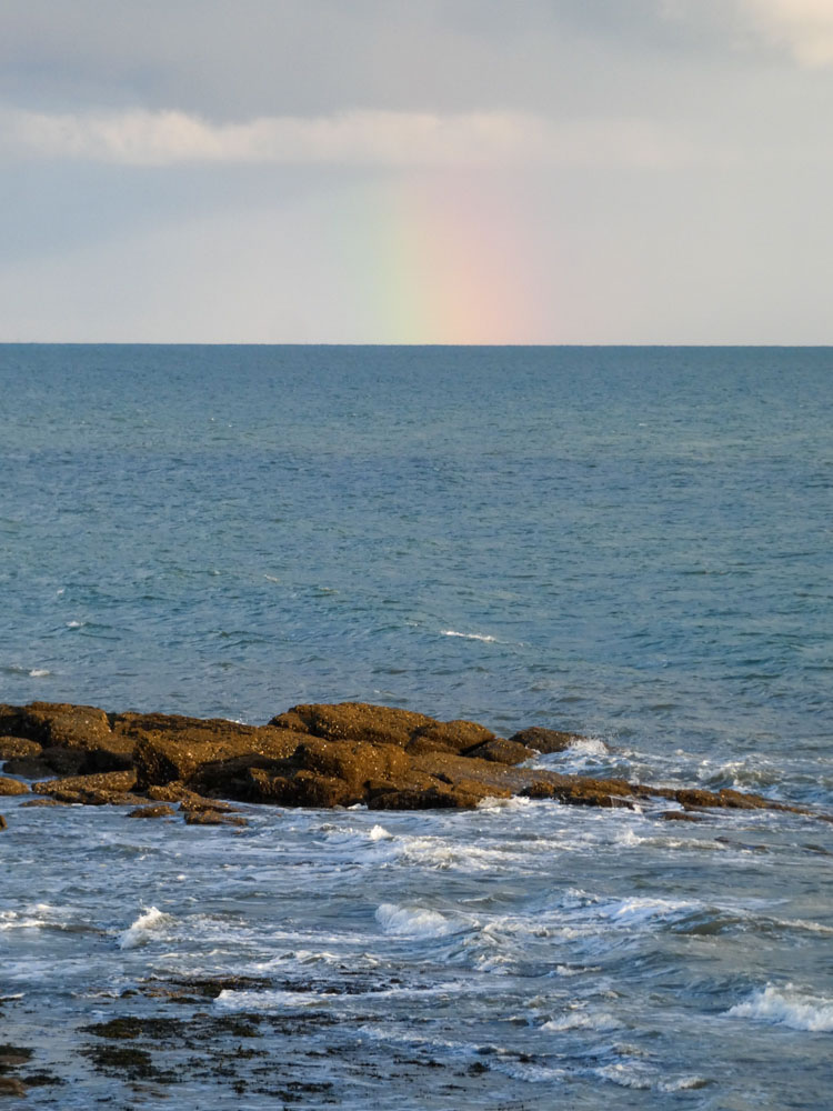 20190612 NF_Prefailles_Johannes-6.jpg