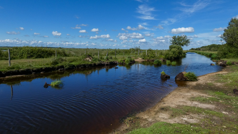 20190612 NF_Prefailles_Johannes-15.jpg