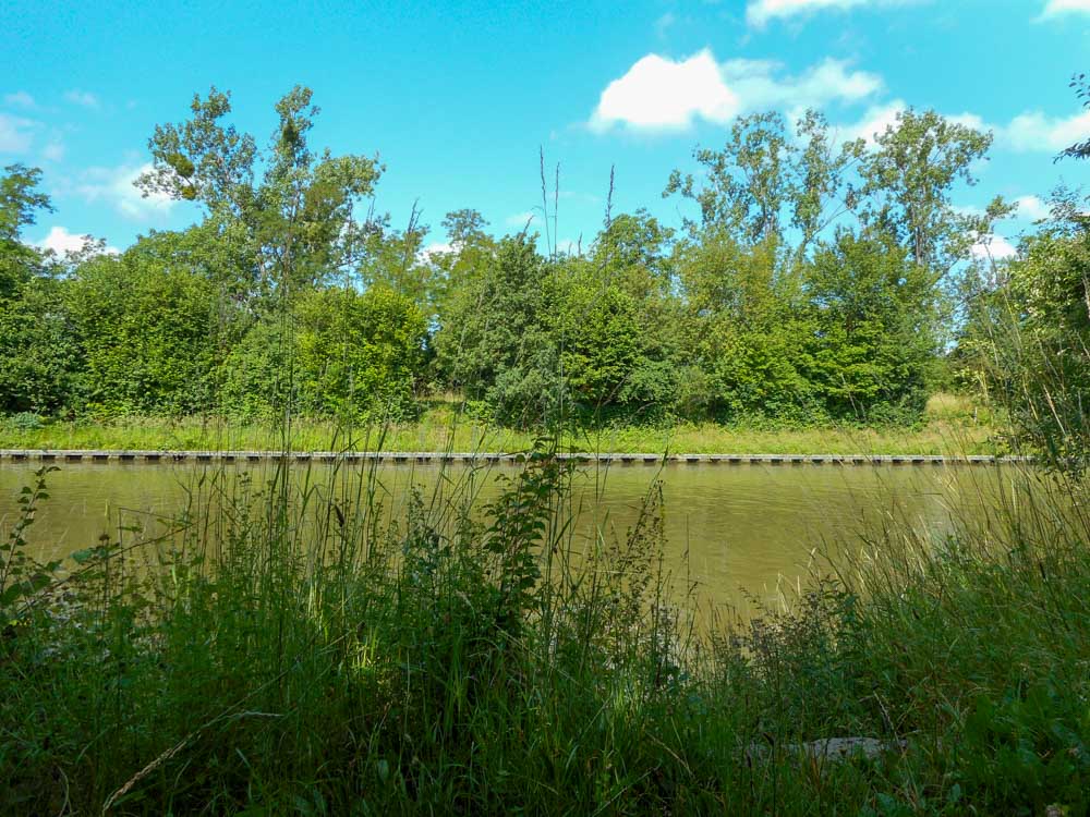 20190623 Wanderung ins Blaue_Anke-9.jpg