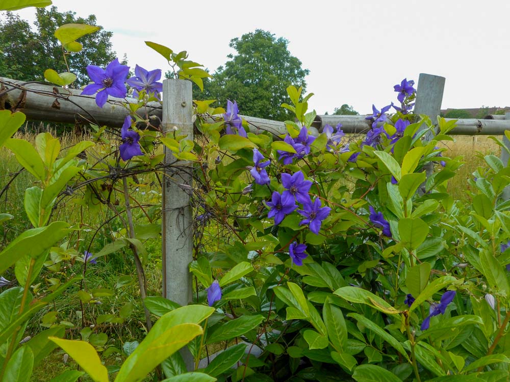 20190623 Wanderung ins Blaue_Anke-18.jpg