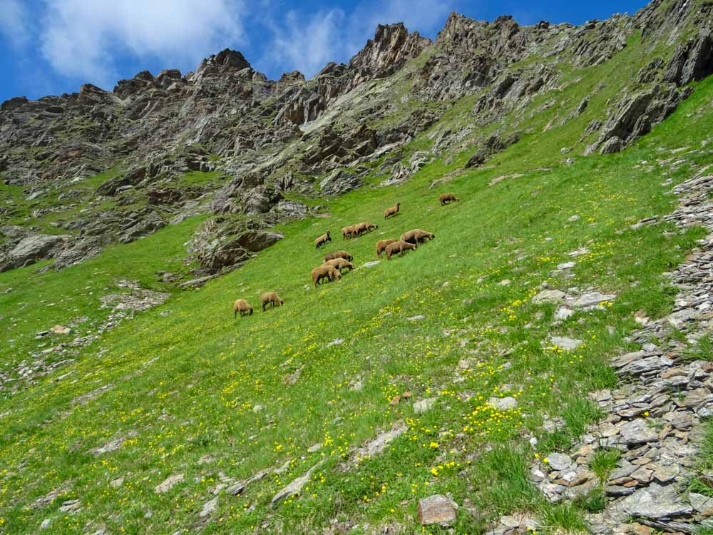 20190805 NF_Verwall_Sascha-8.jpg