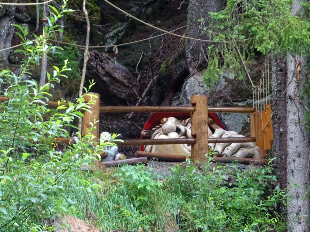 20190805 NF_Verwall_Sascha-56.jpg