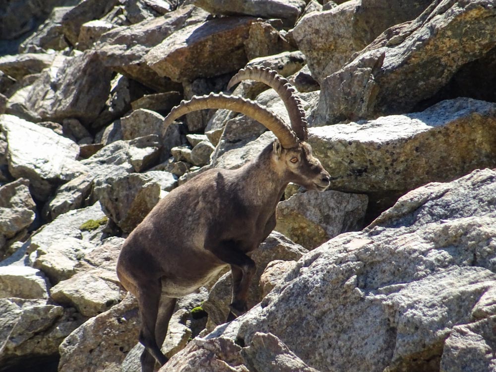 20190805 NF_Verwall_Sascha-57.jpg