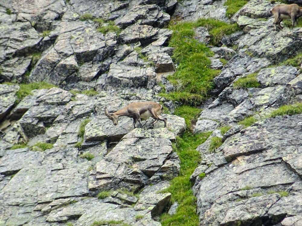 20190805 NF_Verwall_Sascha-101.jpg