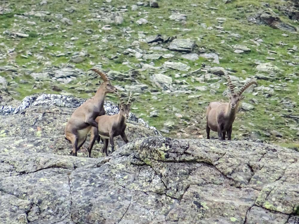 20190805 NF_Verwall_Sascha-109.jpg