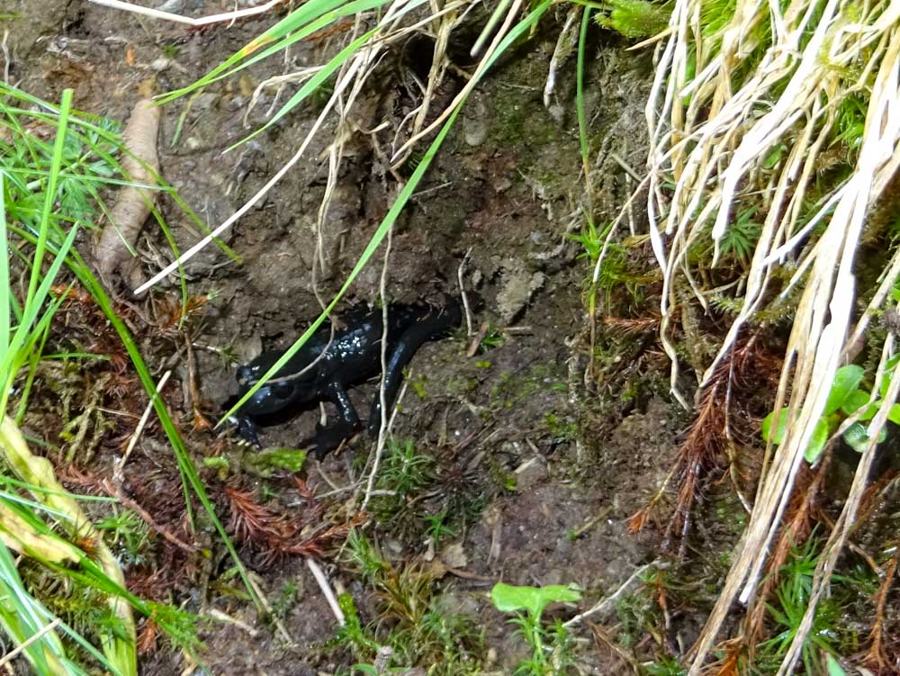 20190805 NF_Verwall_Sascha-134.jpg