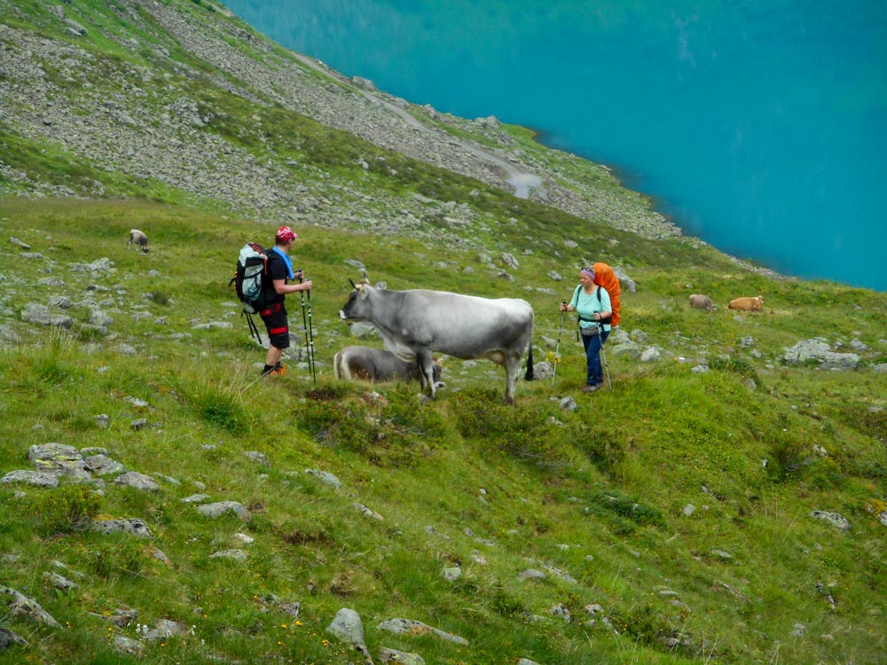 20190808 NF_Verwall_Anke-23.jpg