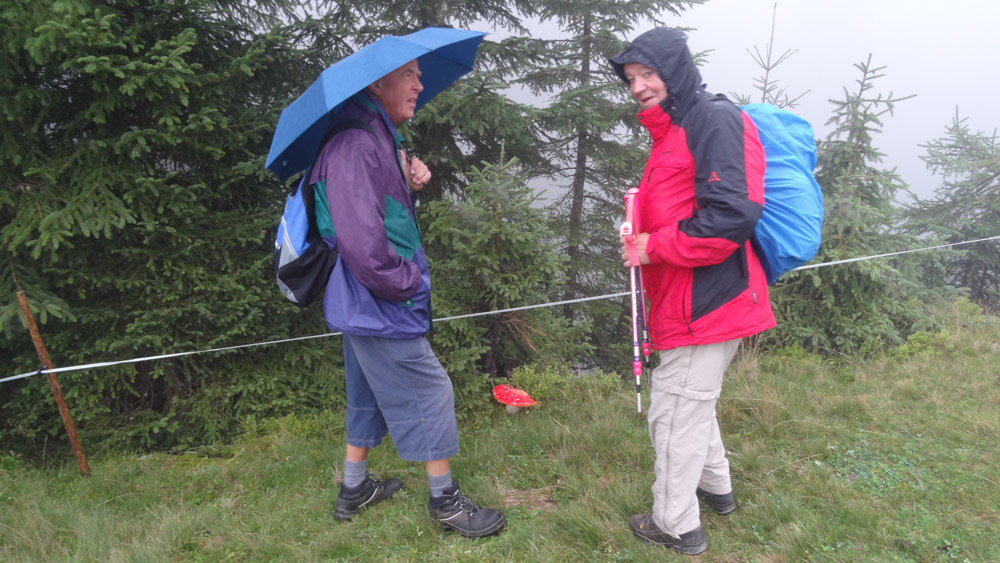 20190905 NF Montafon_Heinz-71.jpg