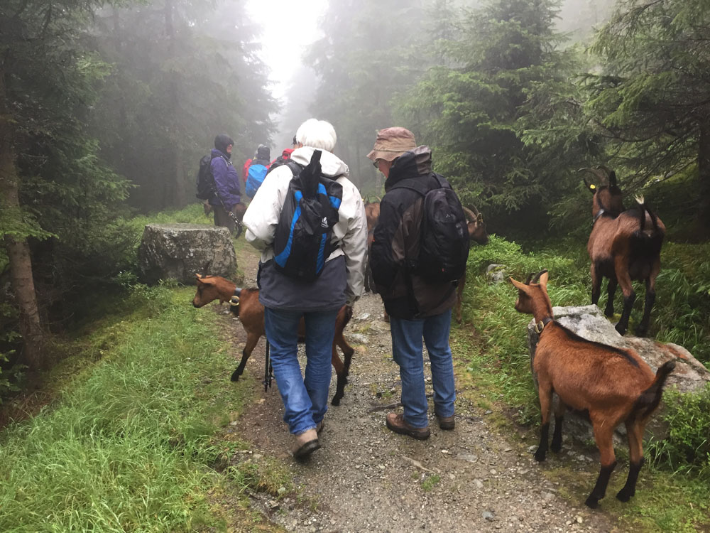 20190905 NF Montafon_Heinz-78.jpg