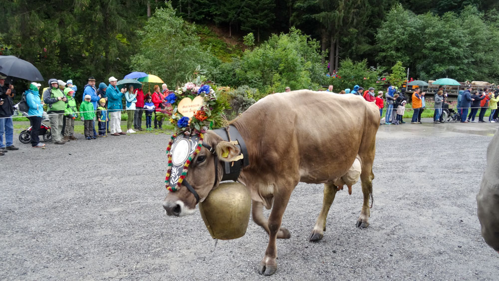 20190905 NF Montafon_Heinz-89.jpg