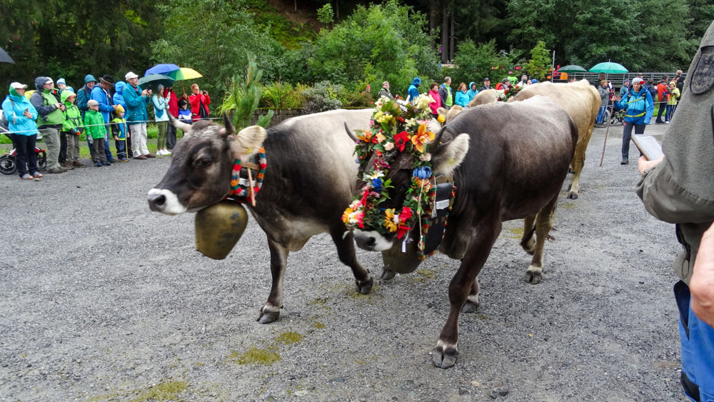20190905 NF Montafon_Heinz-93.jpg