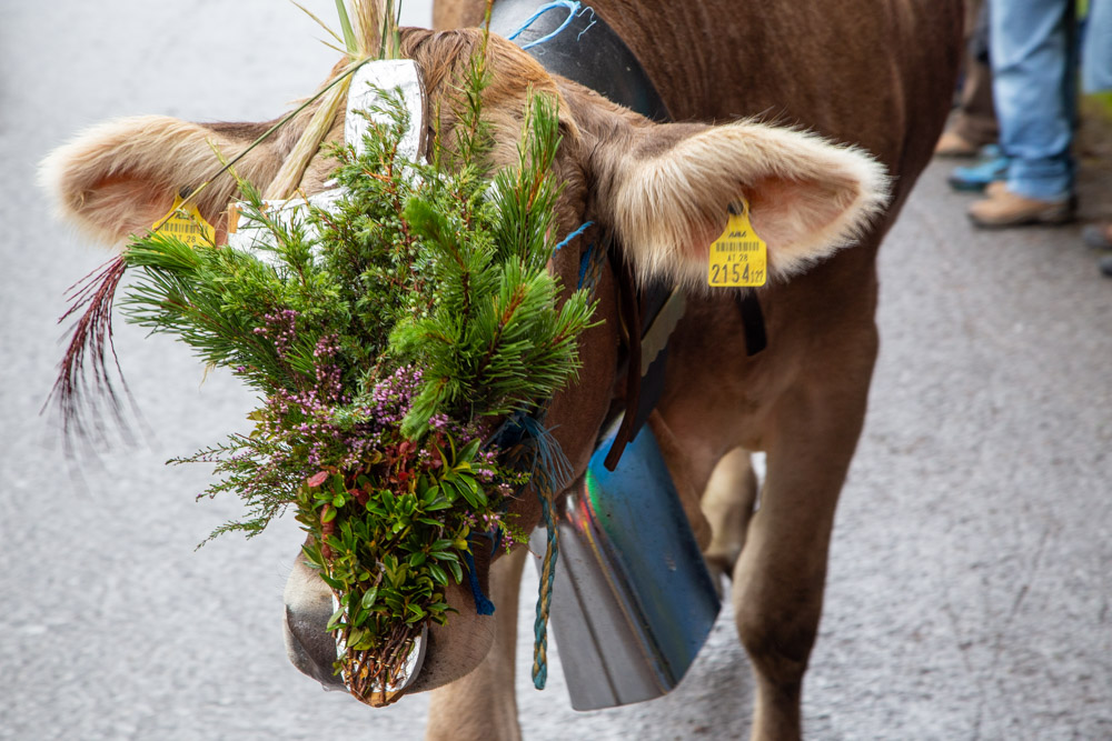 20190905 NF Montafon_Karl-52.jpg