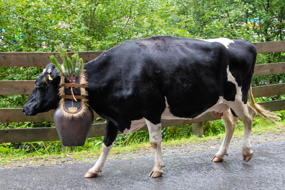 20190905 NF Montafon_Karl-58.jpg