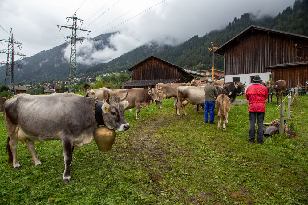 20190905 NF Montafon_Karl-80.jpg