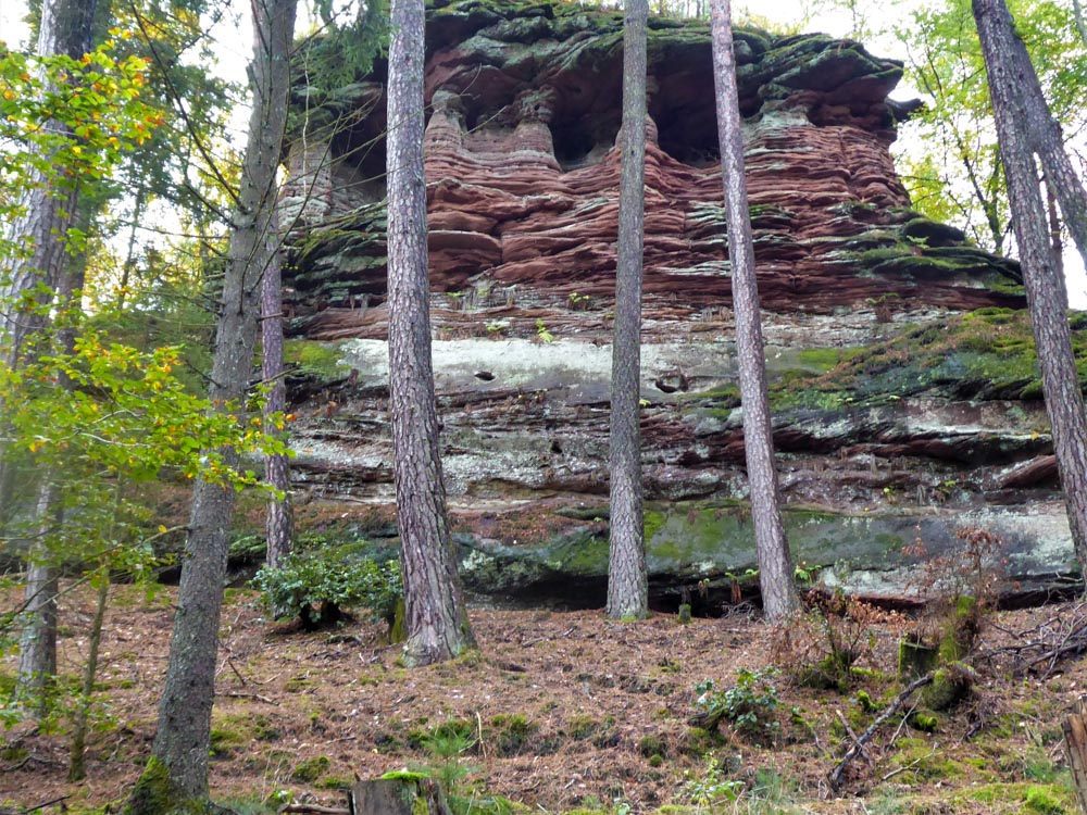 20191020 Pfalzwanderung_Peter-2.jpg