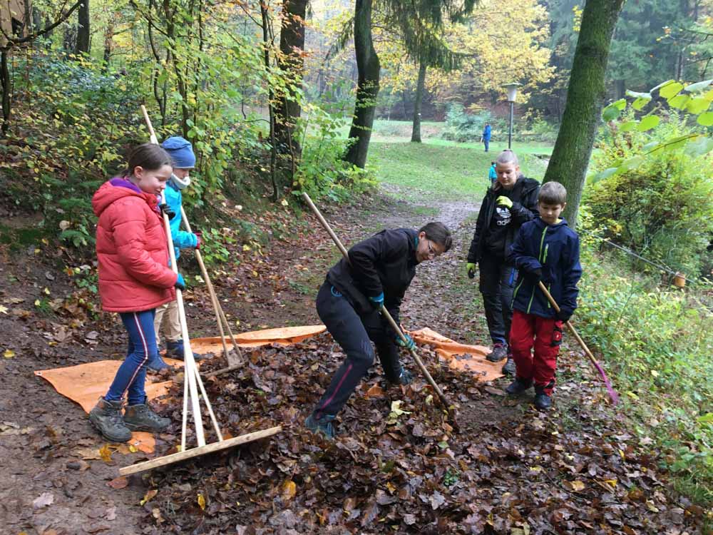 20191109 NF_Arbeitseinsatz_Michael-9.jpg