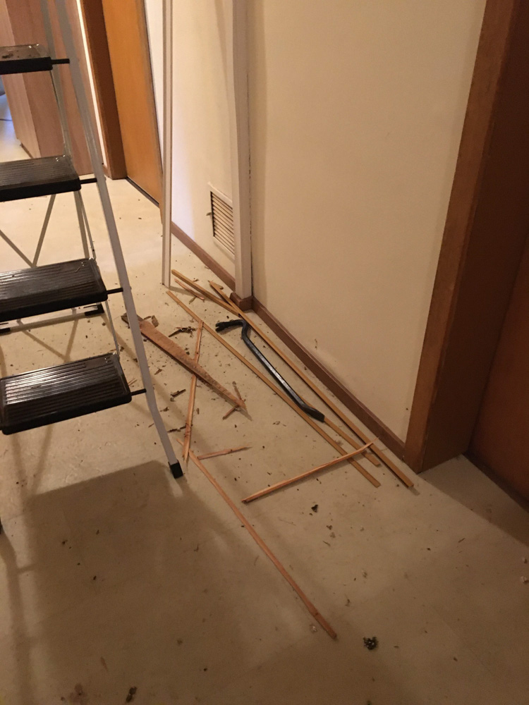 20191109 NF_Arbeitseinsatz_Michael-30.jpg