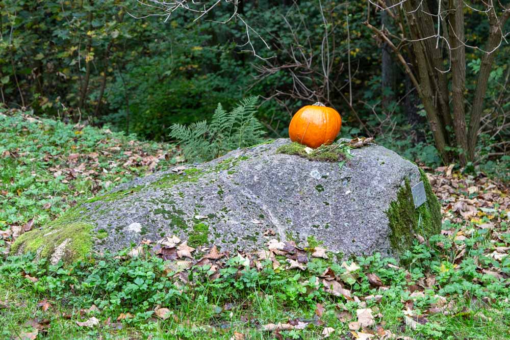 20191101 NF_Letzte Einkehr_Karl-8.jpg