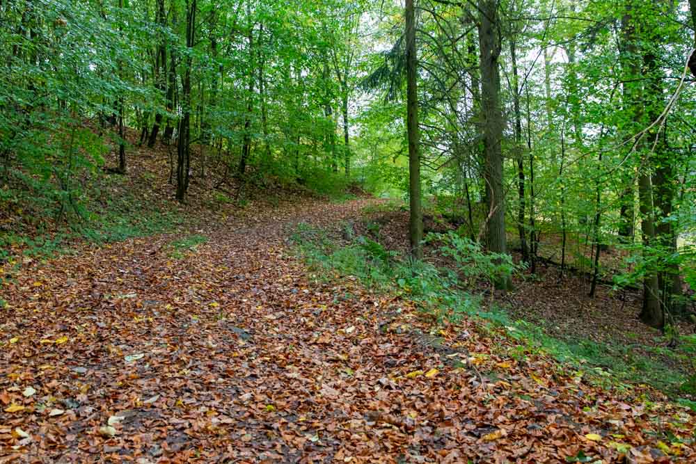 20191101 NF_Letzte Einkehr_Karl-36.jpg