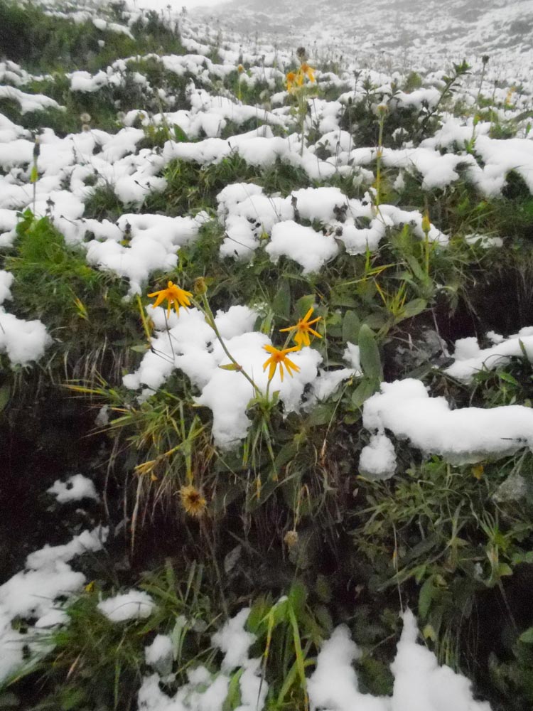 20190905 NF_Montafon_Christel-4.jpg