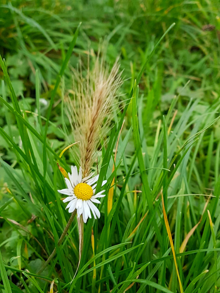 20191208 Tierweihnacht_Sabine-1.jpg