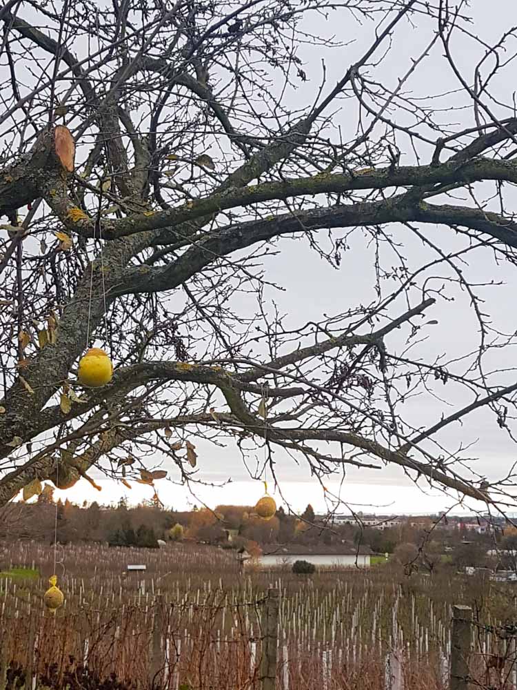 20191208 Tierweihnacht_Sabine-15.jpg